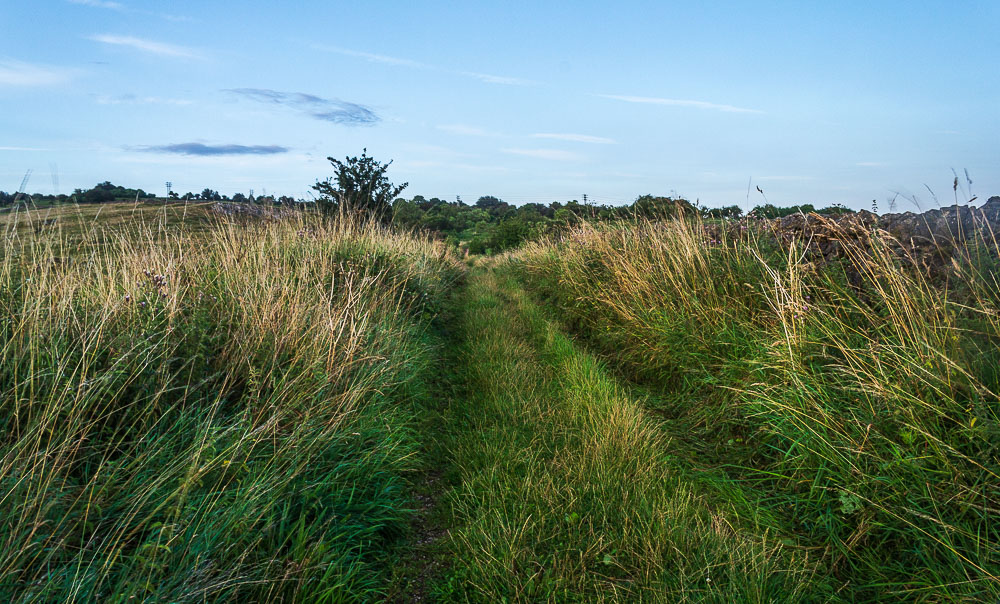 Pasture Lane Pasture Lane